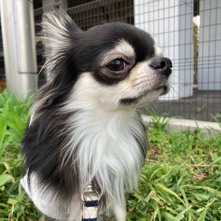 A49b72a5 1c3b 4880 9303 74bfbcac2a5d 1617423099366