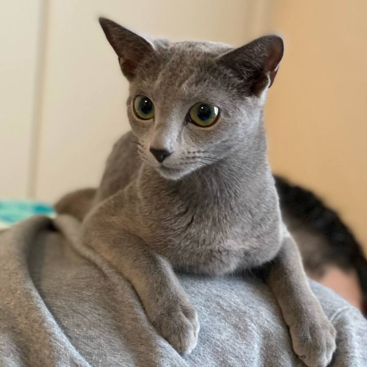 A49b84e6 1f49 49f0 8e70 950c95a4eaf3 1607141645381