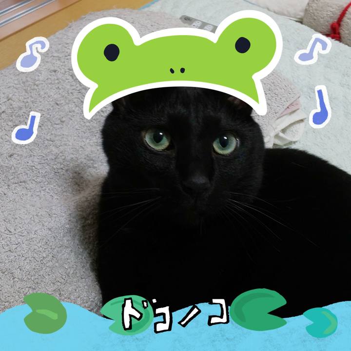 A49b8eab a526 4eb6 b52b e20b63820b2d 1717714745664