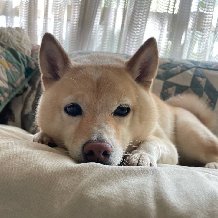 A49b95ee 54ec 4a16 bc4d 896762fda9b0 1692498198560