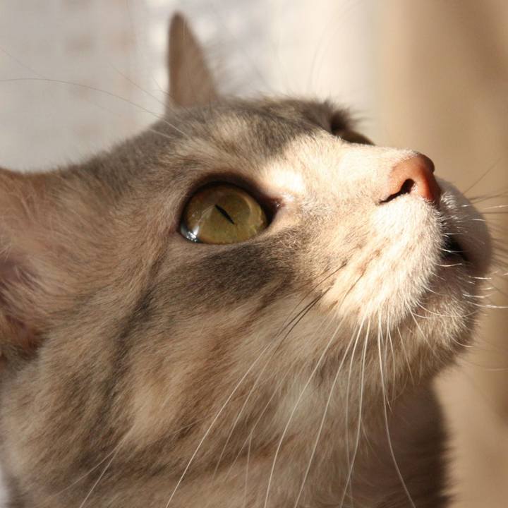 A49ba715 ed16 43b7 8955 605b1a10a57f 1551012221605