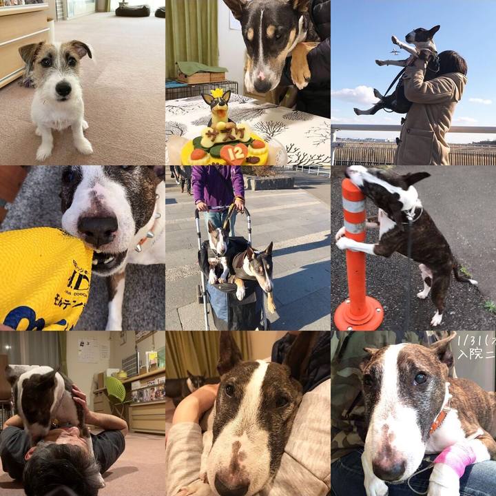 A49bd257 081a 4c29 8653 d2f9de5a2d26 1577792988164