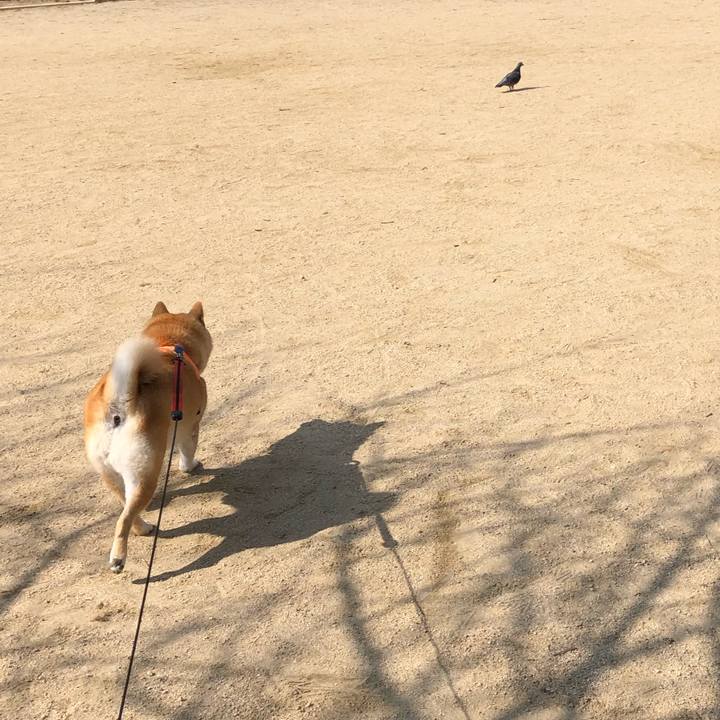 A49c0157 a61d 4b6b 8124 b5829b54d8ff 1550831845970