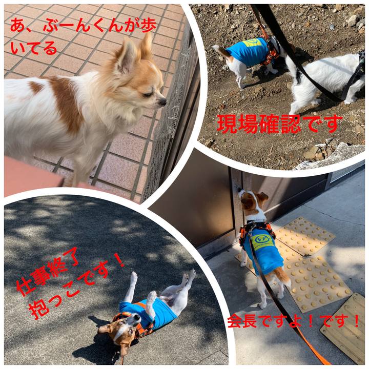 A49c15e5 5865 475c 9039 a88684f4df92 1560385386062