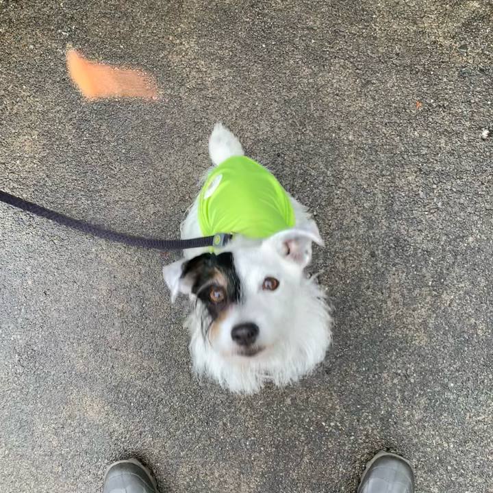 A49c3afd 04d3 430e afdf 060b55ecee4d 1686442678125