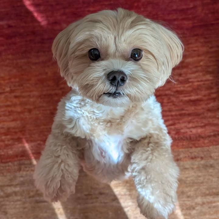 A49c4529 e941 4651 a4d7 24d8ceacd827 1763915989143