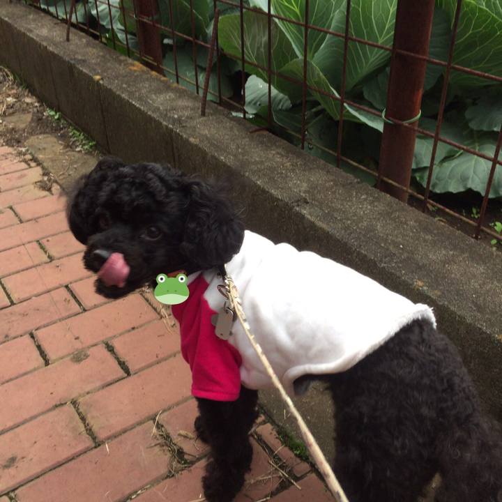 A49c7396 8bdf 4ac3 bab5 6fb8ff1987c2 1508317544235