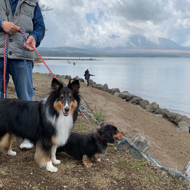 A49c855e 6f86 45b9 9ca2 b58164d4b0cd 1556766325409