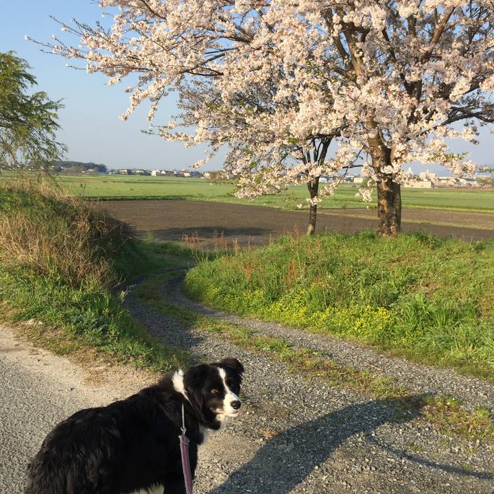 A49d01f0 6972 4d2d 80a9 09e3ea0f1757 1585953707289