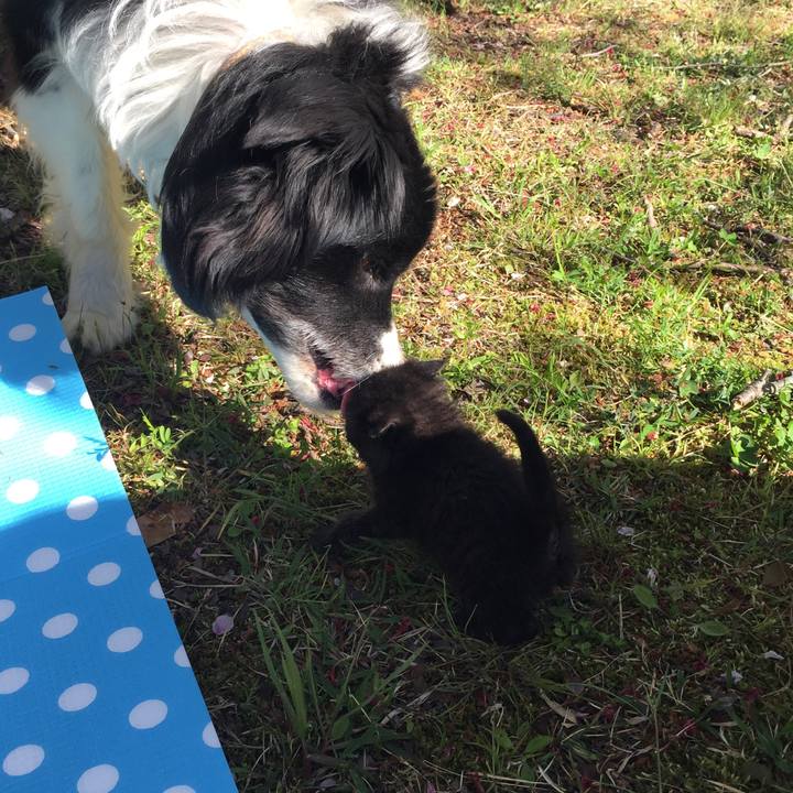 A49d0c91 ce26 40a2 98a9 b4a601d3ee44 1555320150743