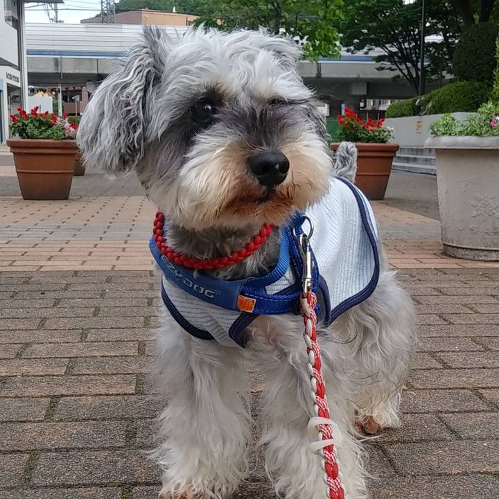 A49d4020 3e8b 475f aa1b 04feff1a4167 1655072605503