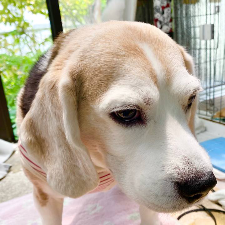 A49d8f21 b42a 45cc acb9 b0b59d95415b 1652933606351