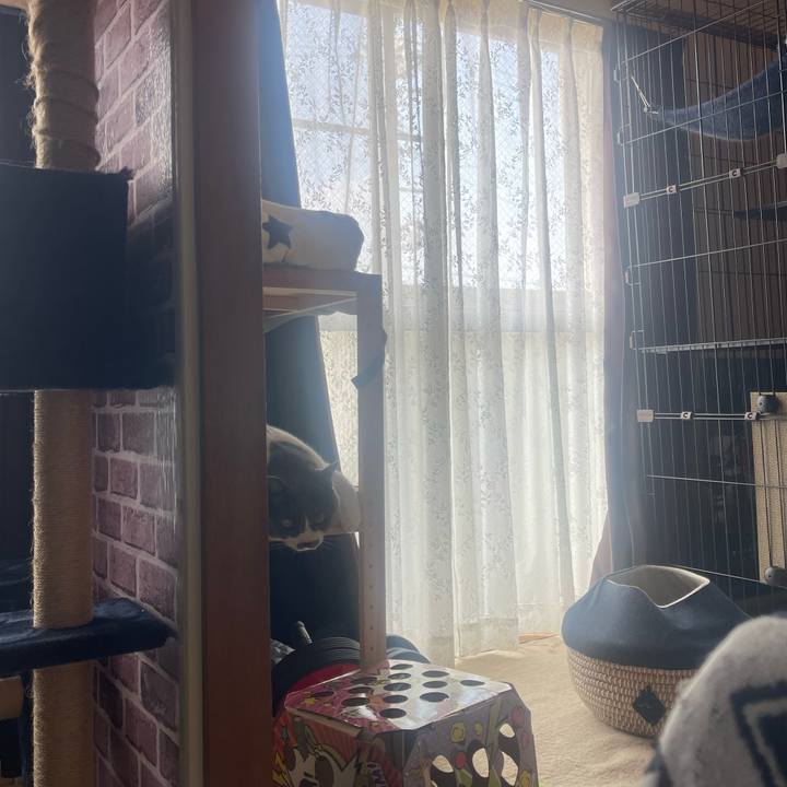 A49d9705 39f4 4020 aa13 48583a011175 1750373681173