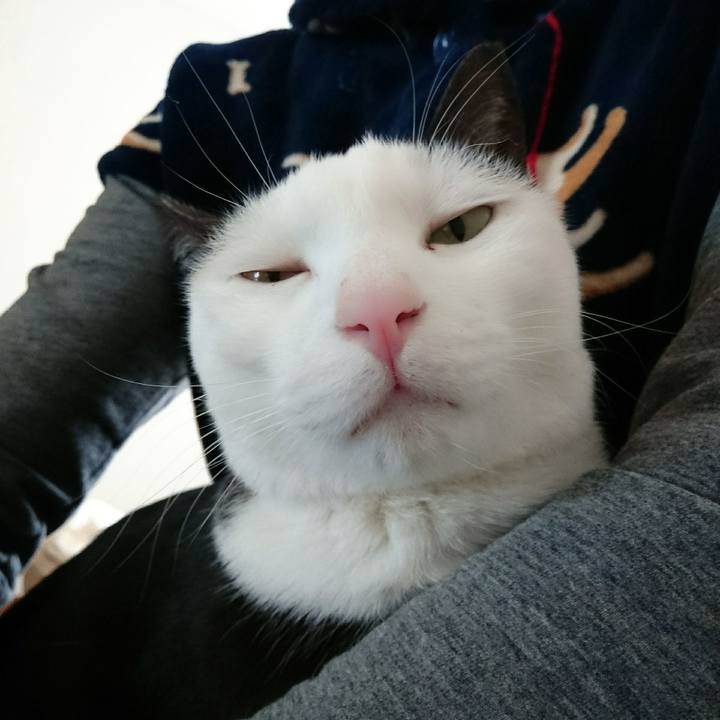 A49da87e 9cea 459c 8693 a4d02d07f846 1518683512961