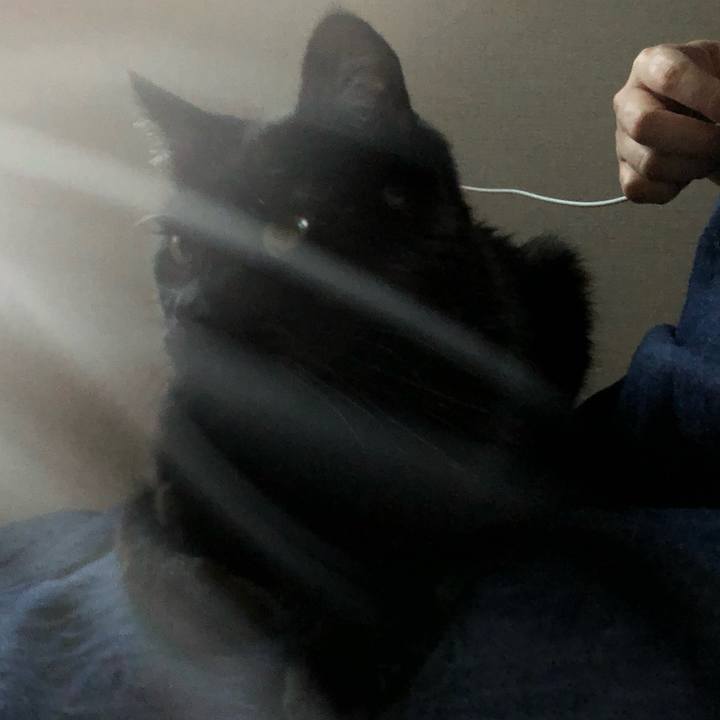 A49dfbd6 1572 4b9a 8c0a 4df2b02a0c13 1562925299253