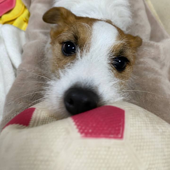 A49e22f8 e4fb 4e2e 80ee d413d873fecd 1700052579514