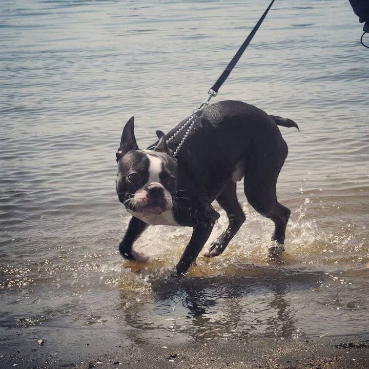 A49e4057 4ae9 44f8 9020 8d2a760e0270 1525075474070