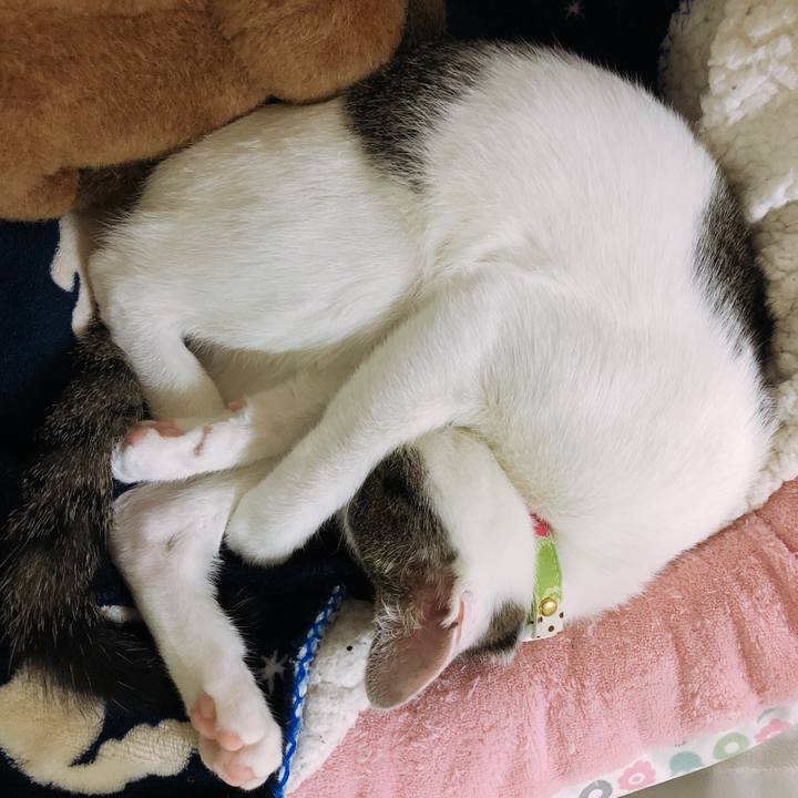 A49e8434 0042 49a9 89bb ce4690c45da0 1575283654709