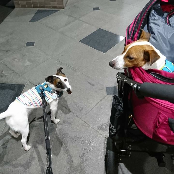 A49e8d2c 1ce2 43df 87fd 1a60c62cea57 1566124985752