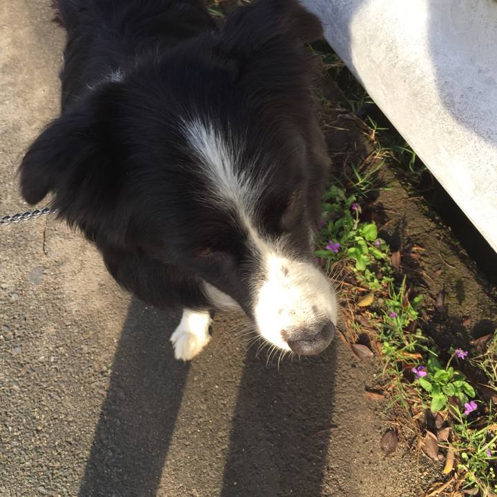 A49f1f16 e469 4c36 93ab 5bd59003bbcd 1542069066367