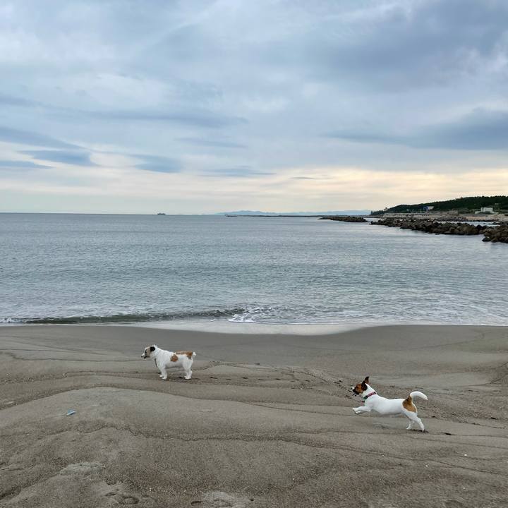 A49f629c 4d6a 48c0 a51d 9a1bbe58aa11 1632613044119