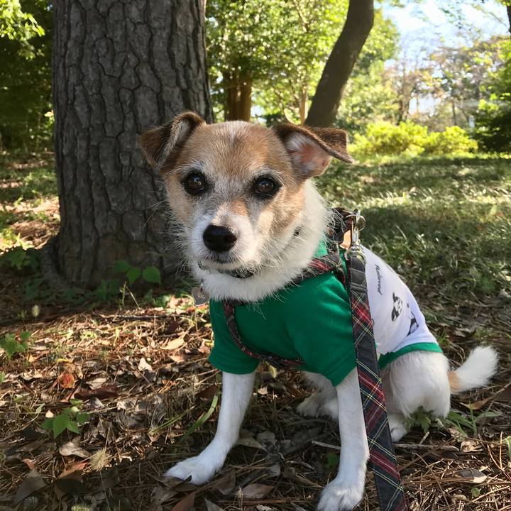 A49fa1bb a817 4223 9258 61bd00dc5caf 1603244709157