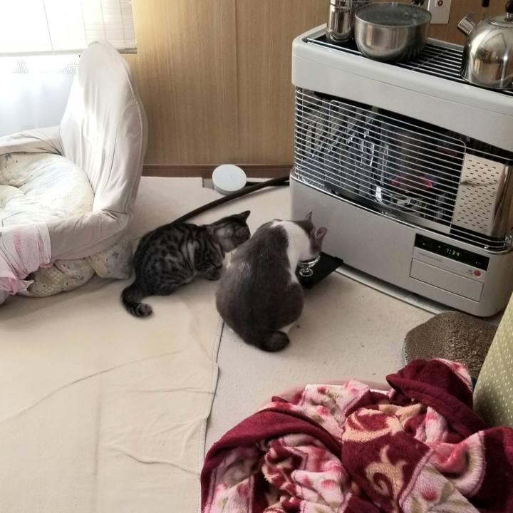 A49fa1f6 124f 4ec3 b5e9 252f5663c177 1677886551580