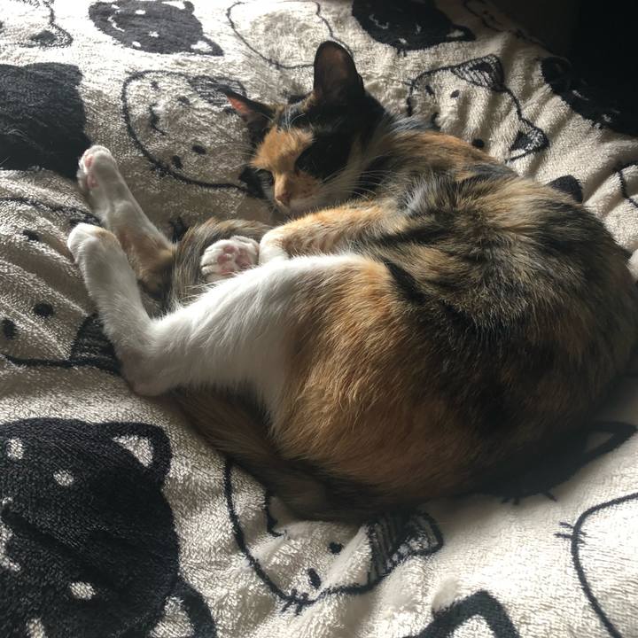 A49fc54c 1387 45e4 9539 f859305cb553 1623116695954