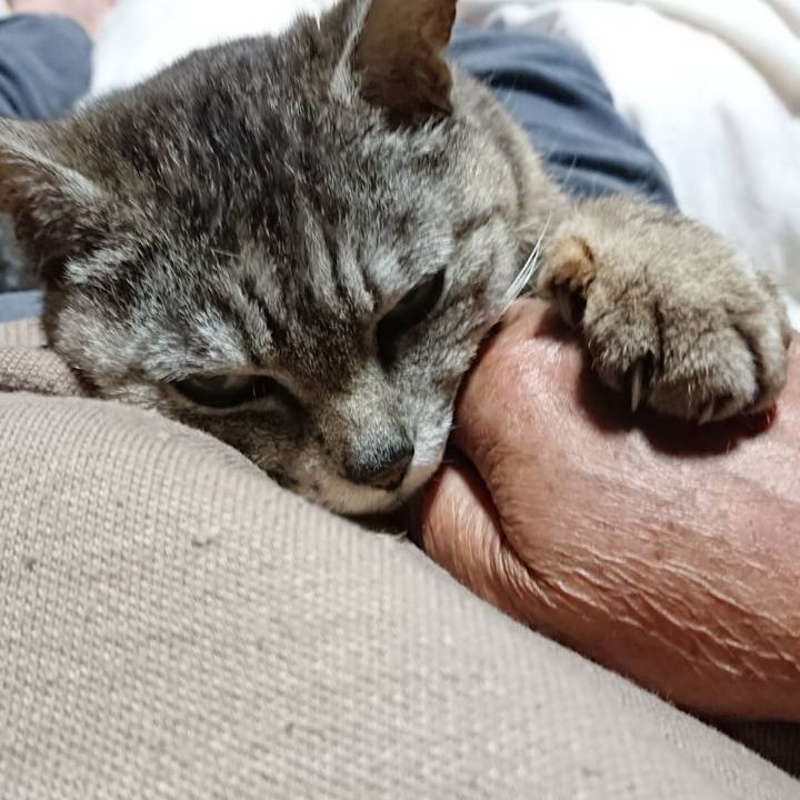 A49fc693 fa10 4b22 800e 2bd451bf09a2 1561813463831