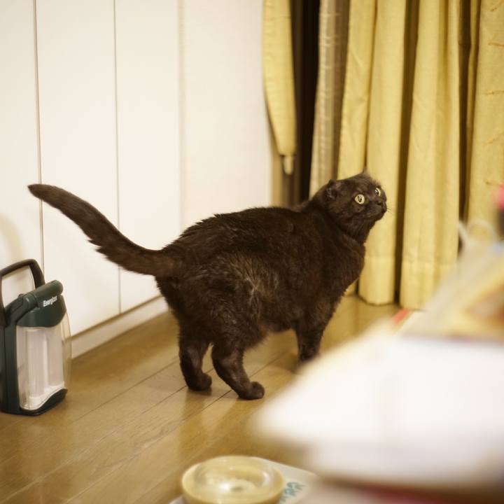 A4a001eb b766 430b 9136 717f786194e3 1619620684441