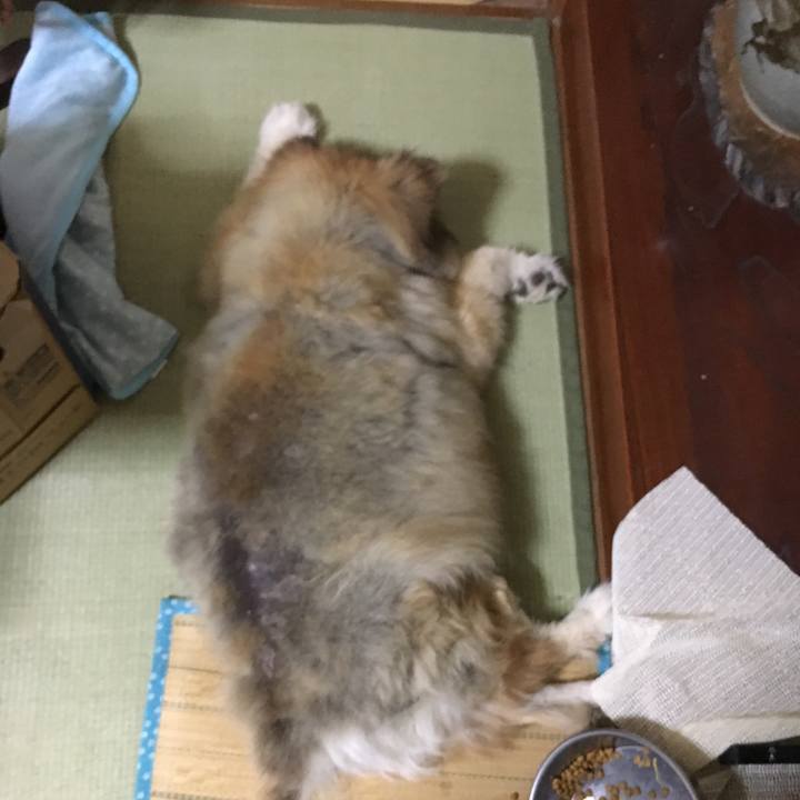 A4a02706 1d04 46b7 9bff e392fac98be3 1600053493146