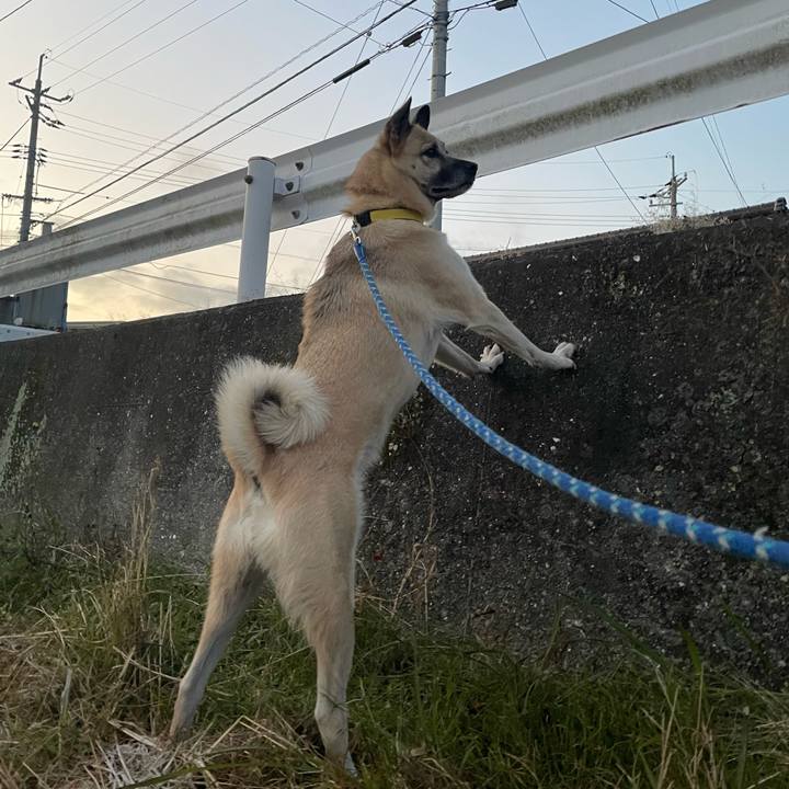 A4a02d72 dd2a 4bc4 8f3a e0d949b696fc 1640347482219