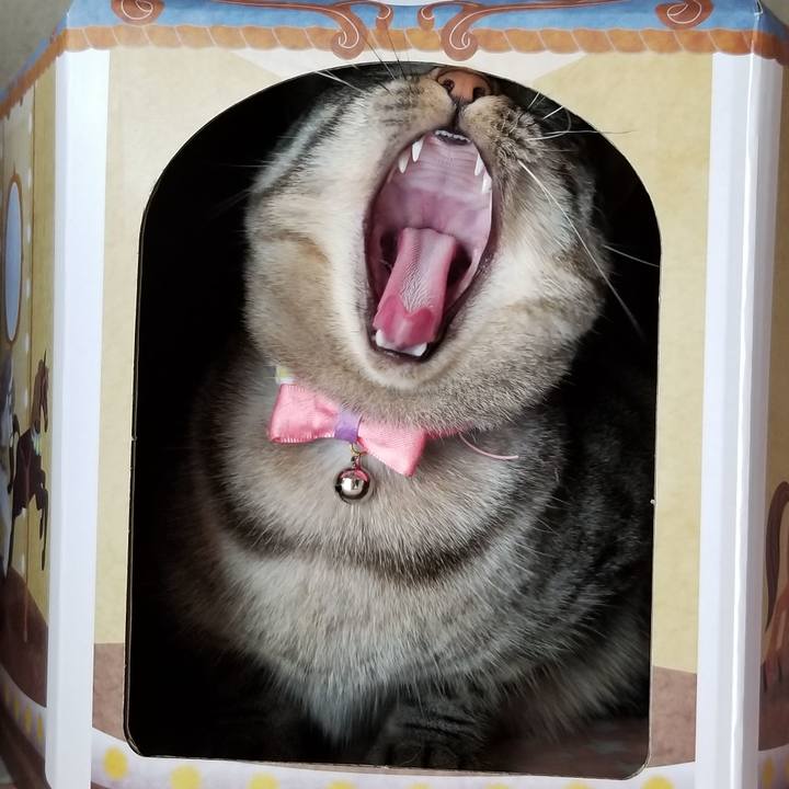 A4a0494e c360 4dd9 bf3e 9abc598649f0 1688470474311