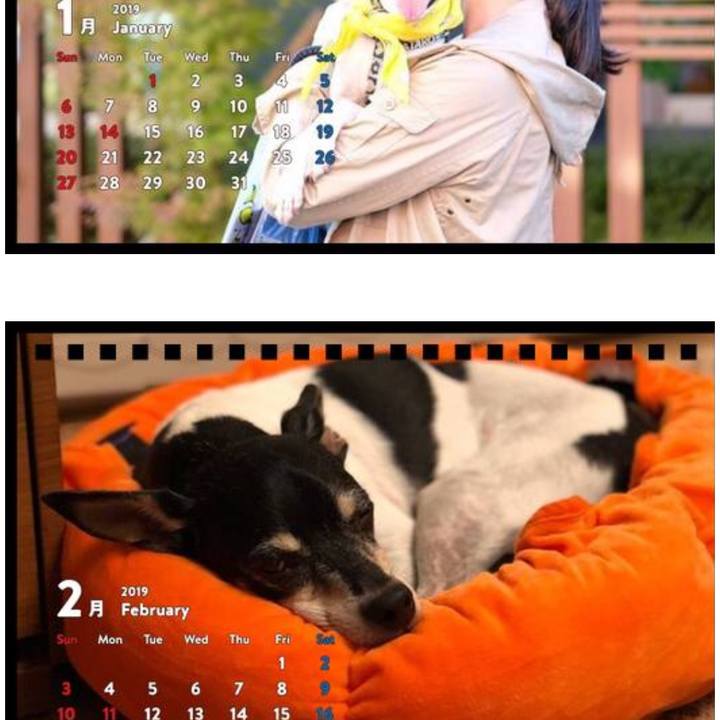 A4a0bfbd 3aa8 4a82 b1eb eb8f7b2bfeb4 1542719140183