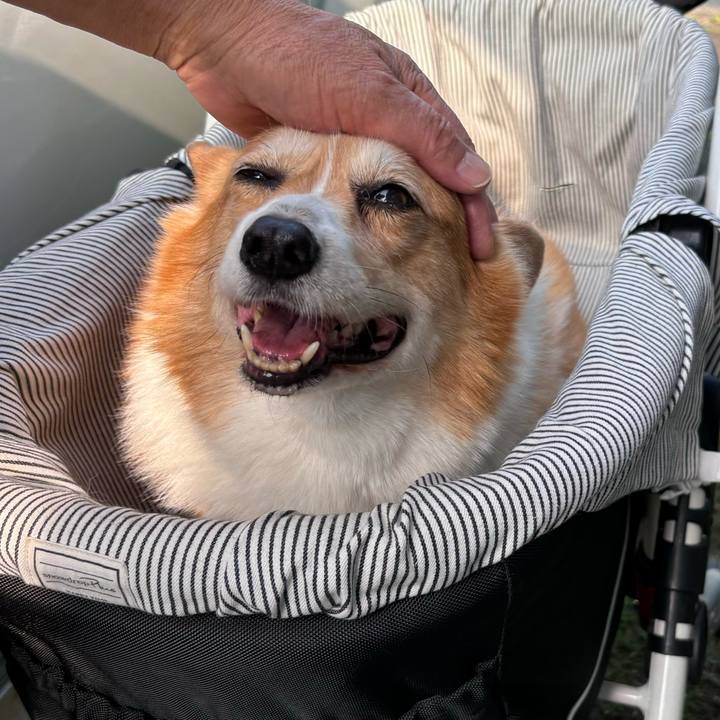 A4a0c712 1dac 4d55 9277 8b9f13b93886 1747700544526