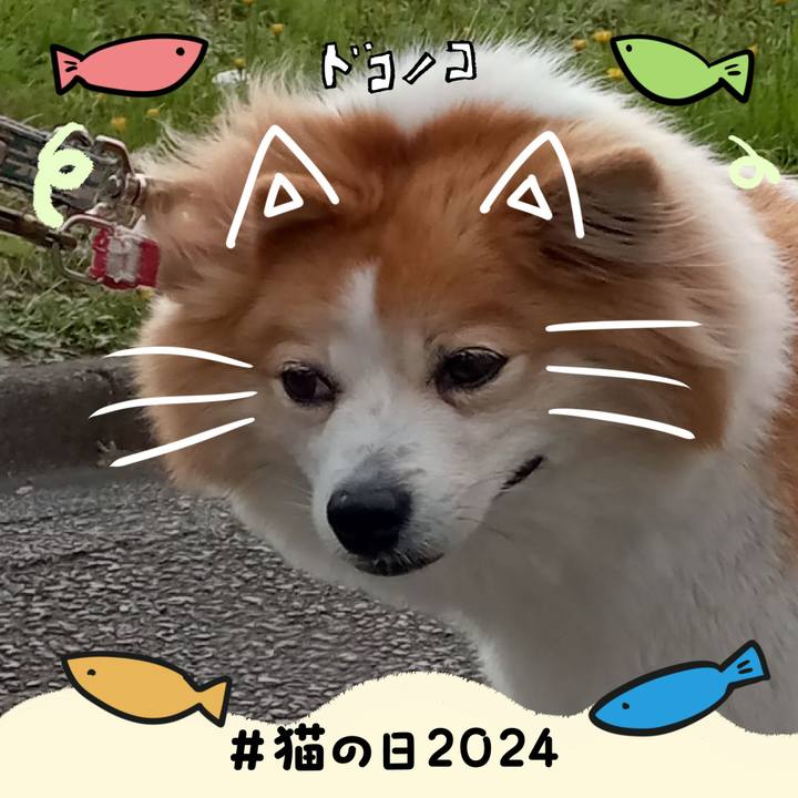 A4a0e5ec 16fb 4a8b bf32 d6692e6c14a1 1708609800412