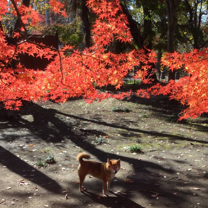 A4a106f5 102b 4cda a8c2 5dc410e3d68d 1575010678820