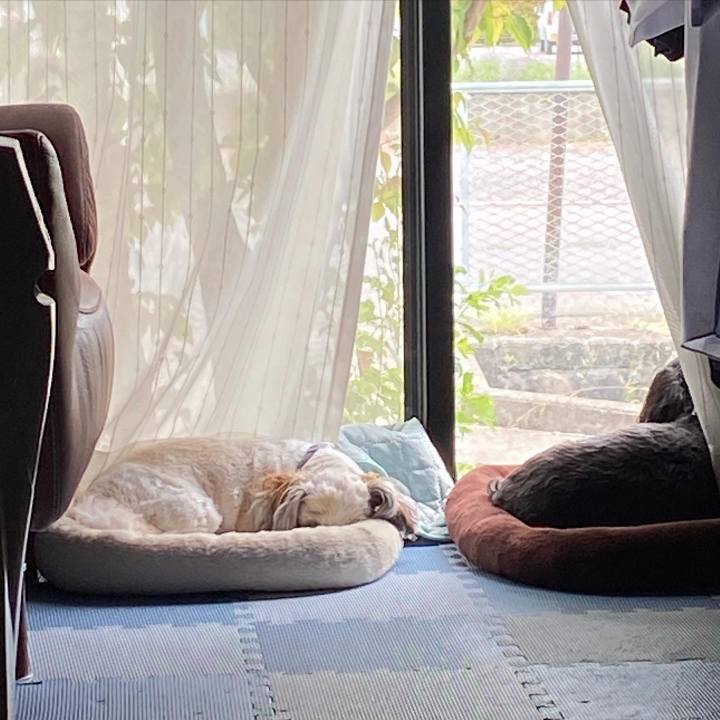 A4a1463f 1b65 4578 984f e5039257e37e 1655079151567