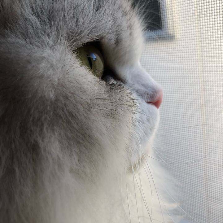 A4a1798f 5ac8 4430 9402 3652f47ae7a7 1634939992347