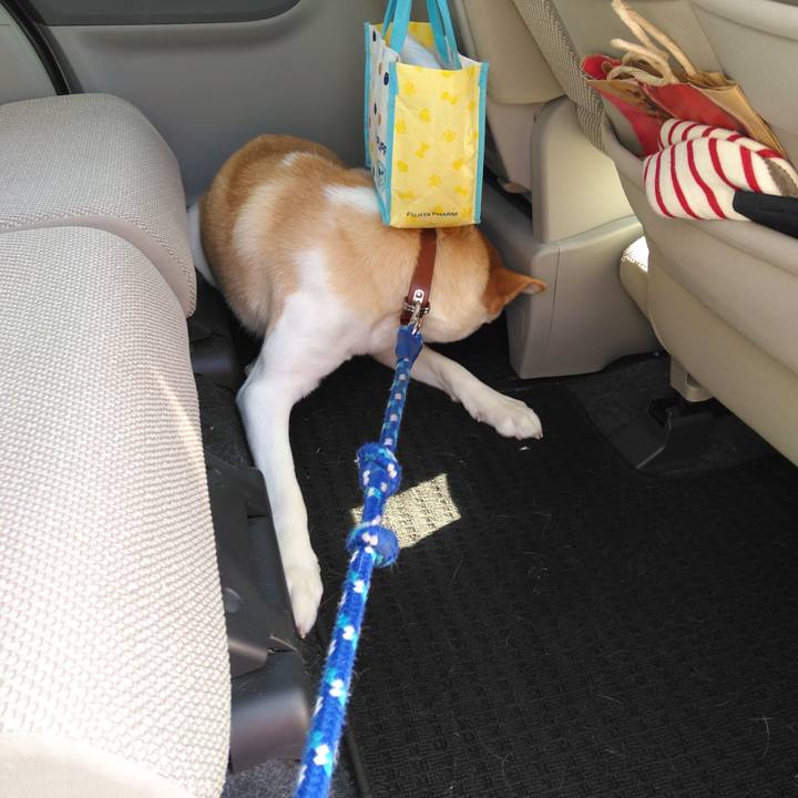 A4a1865c d10d 48b4 a156 6be0e2adbb97 1510885984837