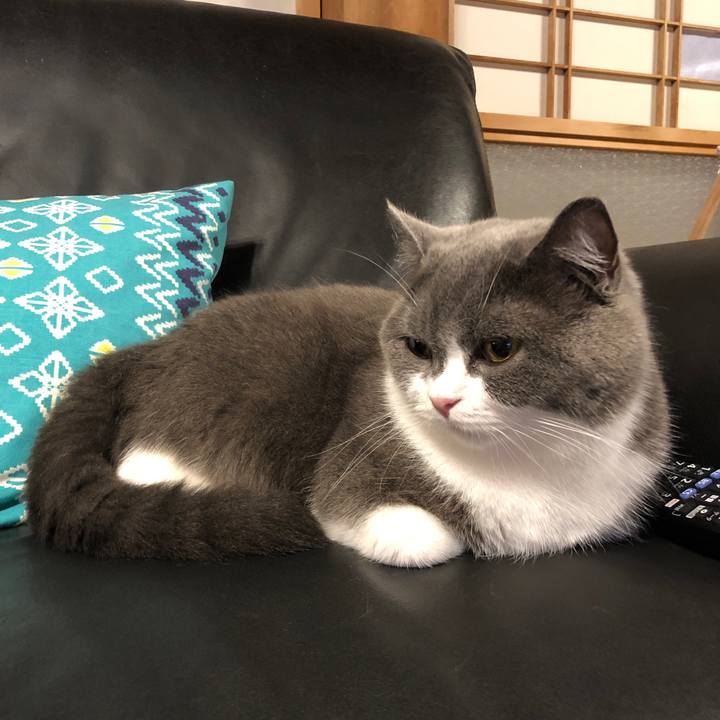 A4a1ba7d 45a0 49e2 90f4 94dc835b2848 1562673928997