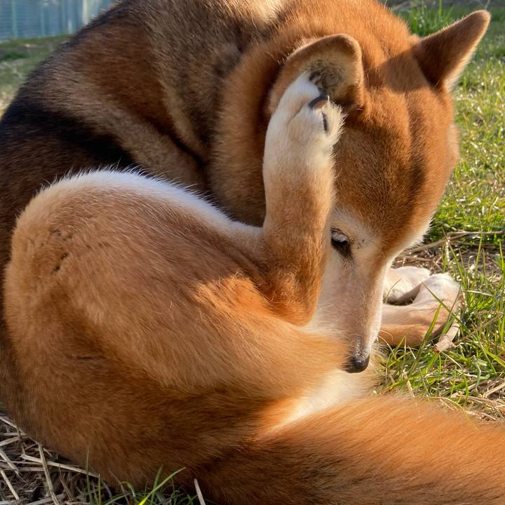 A4a201ac e448 45f5 ab20 6df39ecf1698 1710373899757