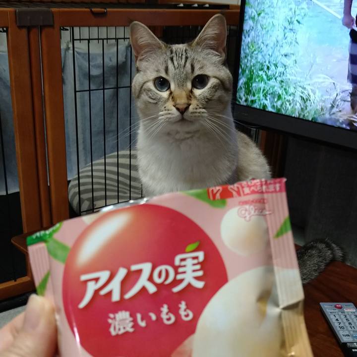 A4a213a0 403c 4bd9 8358 72eaa88fd363 1659009979656