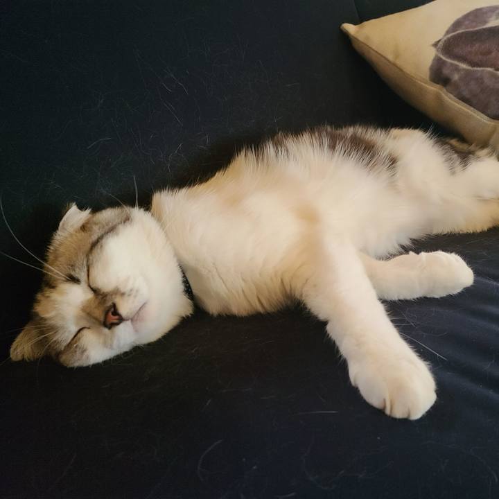 A4a216e8 fd2b 4fd9 865f 31e0b07c92cf 1657008740439