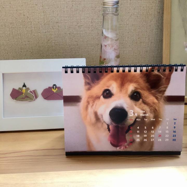 A4a22fbf a705 4412 933a 92be68dea10d 1551428189108