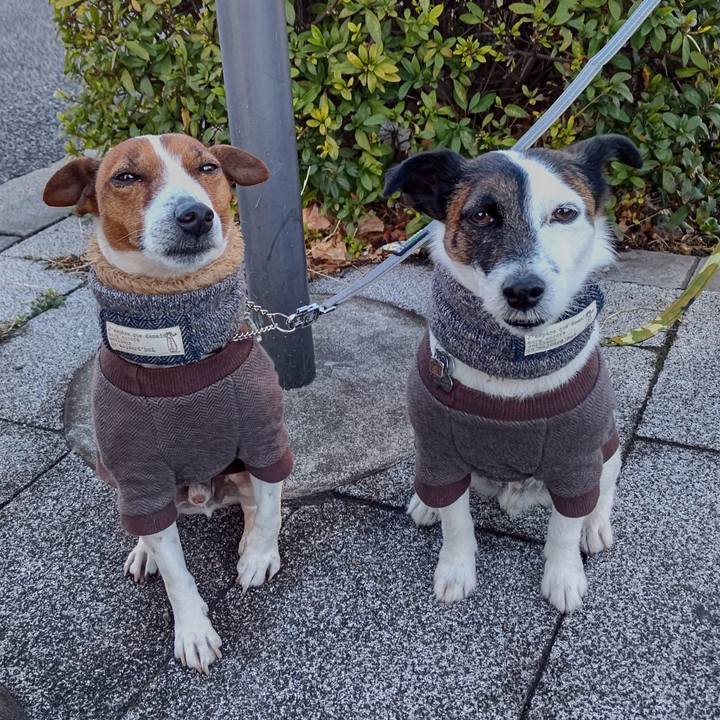 A4a29eef afa8 42d1 85a5 41c0fcc39d6c 1677279957656