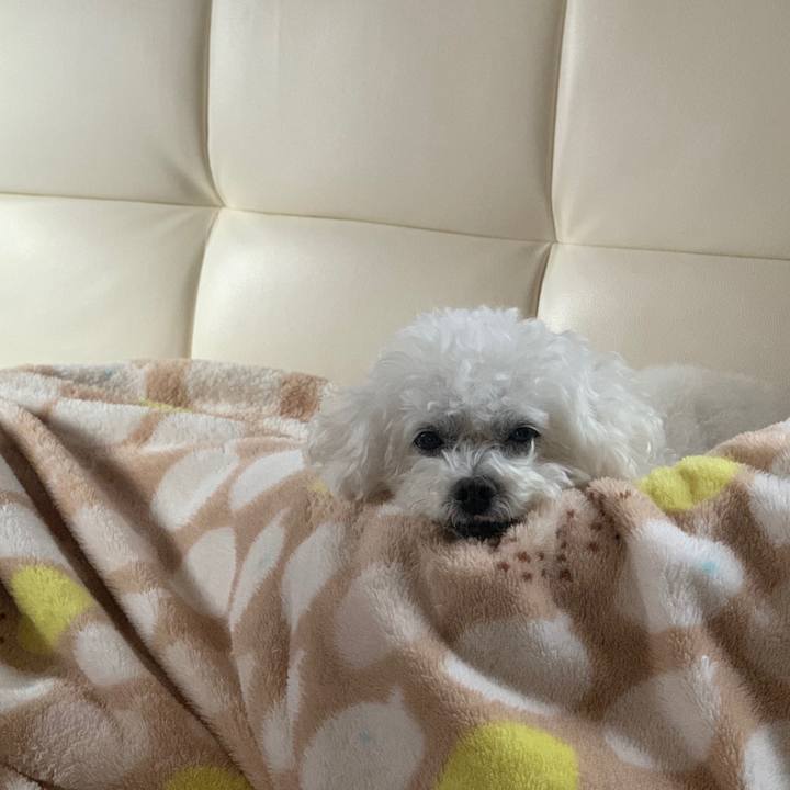 A4a2e5f5 5513 48db ba3c 60138f95ab2e 1669849827539