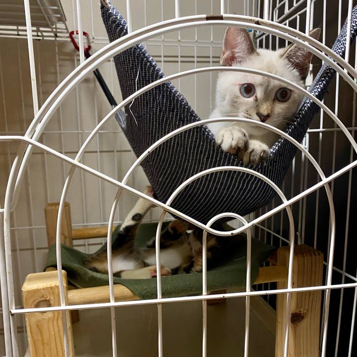 A4a2ed1d cab3 49f3 9cbb 7c6676c199a1 1634031177652