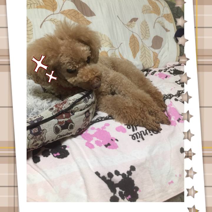 A4a31416 3047 4dc9 93cd 84c007ae34e0 1526474958087