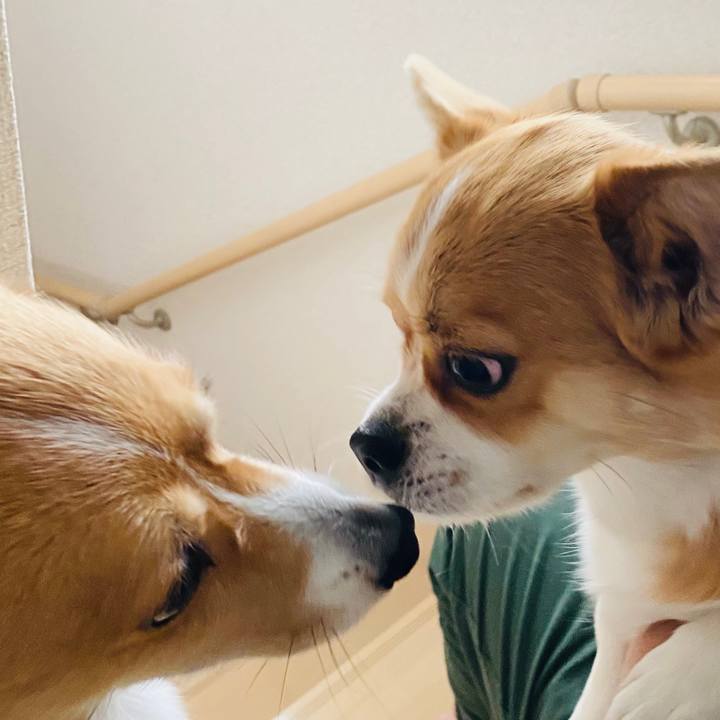 A4a314a1 2687 46ef 8e66 931d50ca7928 1589520272187